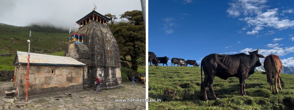 about madhmaheshwar temple and cab temple taxi service